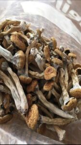 smoked portobello mushrooms