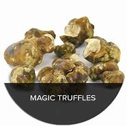 are magic truffles legal in canada