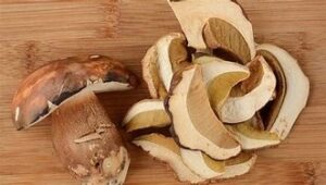 Dried Porcini mushrooms