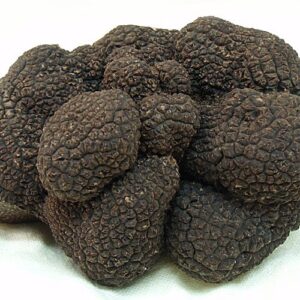 buy fresh truffles