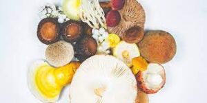magic mushrooms edibles uk