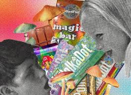 Popular functional mushrooms used in mushroom 