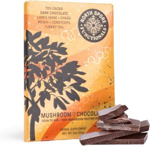 Popular functional mushrooms used in mushroom edibles